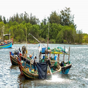 Gambia River