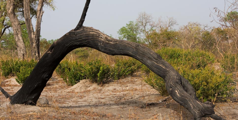 Kiang West National Park